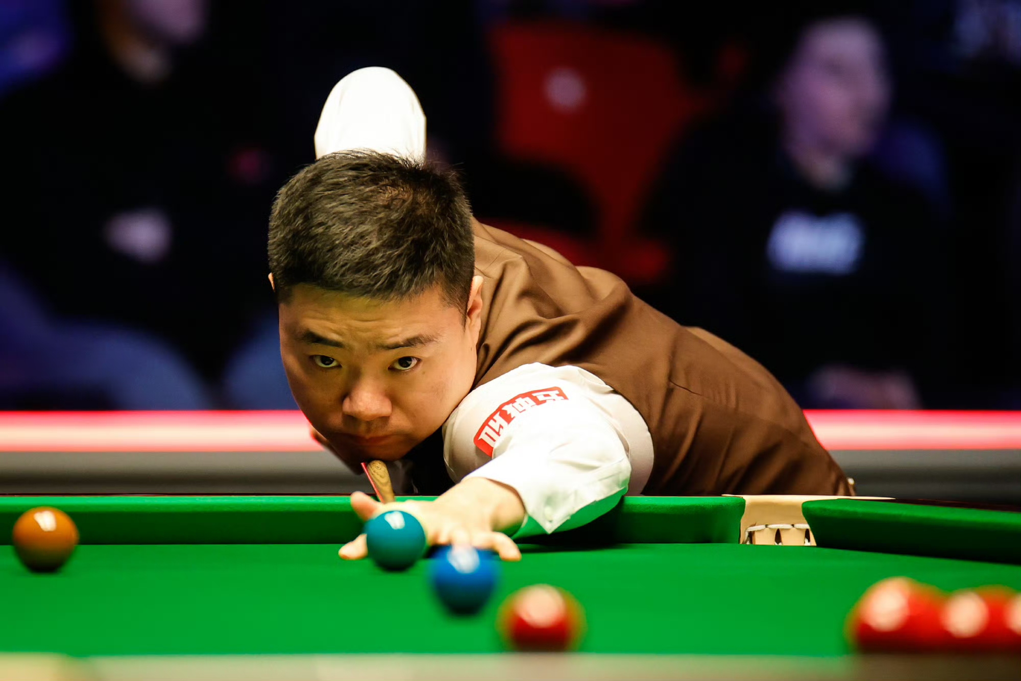 区纷纷留言 区纷纷留言