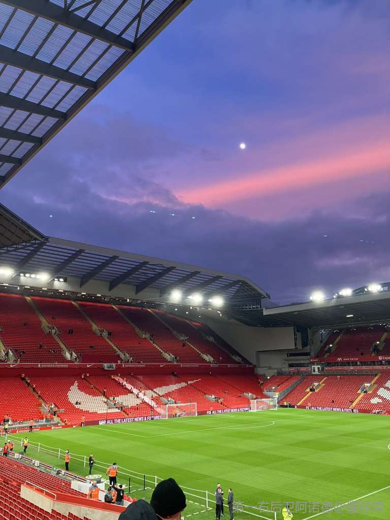 系列赛里仍 系列赛里仍